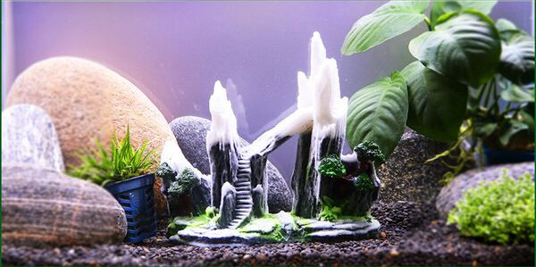 Kiviktaimla imitatsioon - akvaariumi kaunistus