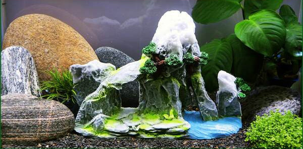 Decor de piatra decorativa pentru acvariu in doua modele
