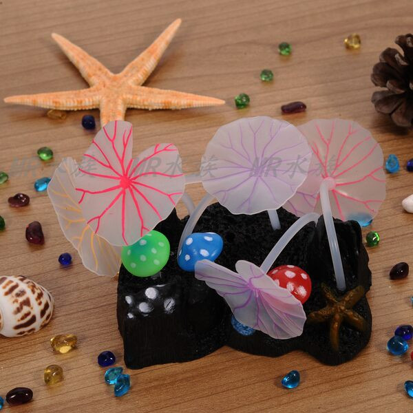 Plante acvatice - decor pentru acvariu