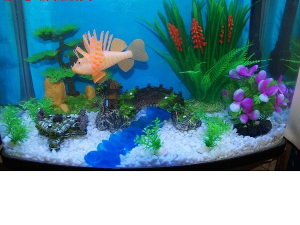 Decorarea acvariului în formă de stâncă - mai multe dimensiuni