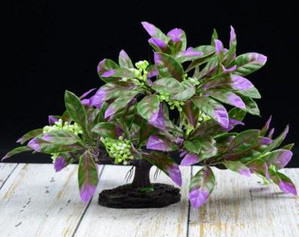 Decorare artificială pentru acvariu - mai multe modele