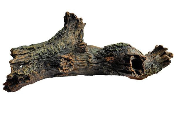 Decoratiuni pentru acvariu - diferite modele