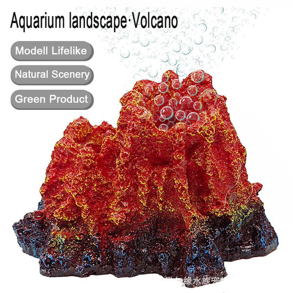 Decorarea acvariului