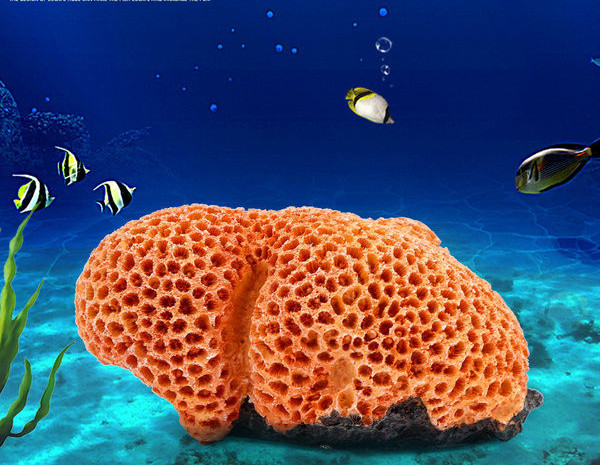 Akvaariumi kaunistamine - erinevad mudelid