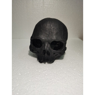 Akvaariumi kaunistamine