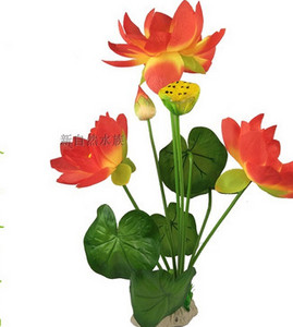 Taimed akvaariumi kaunistamiseks