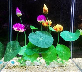 Растения за декорация на аквариум 