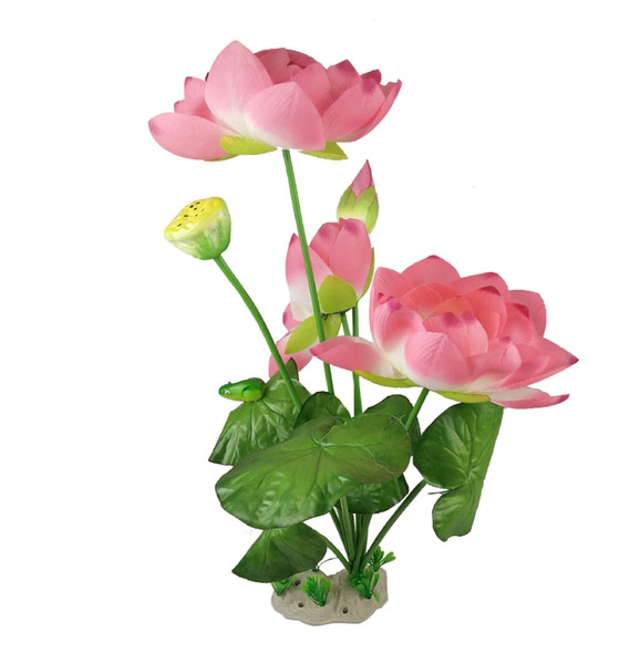 Taimed akvaariumi kaunistamiseks