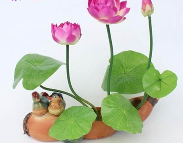 Taimed akvaariumi kaunistamiseks