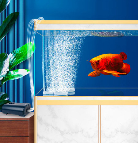 Deguonies siurblys akvariumui