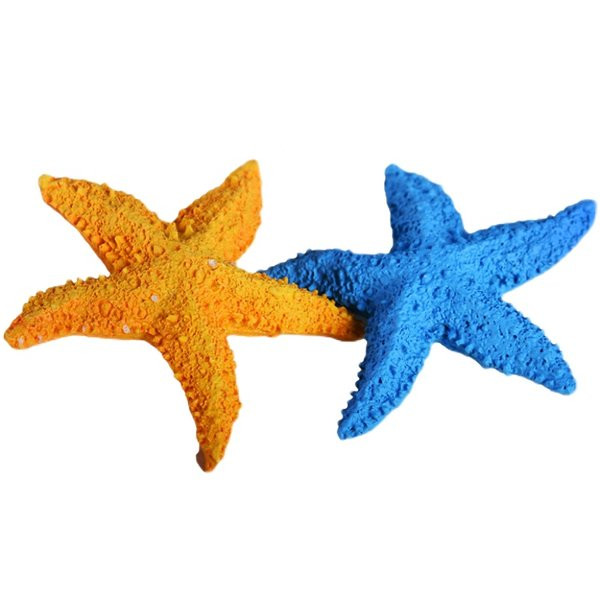 Meritähe kaunistus mitmes värvitoonis