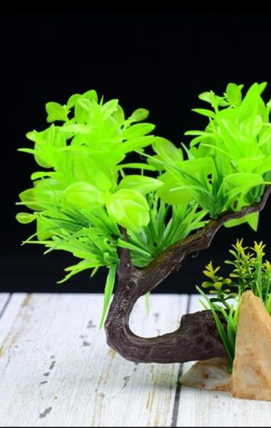 Akvariumo puošmena – mini alpinariumas