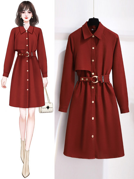 Rochie moderna cu nasturi si guler clasic