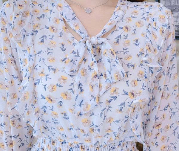 Kevadine pikkade varrukatega naiste kleit