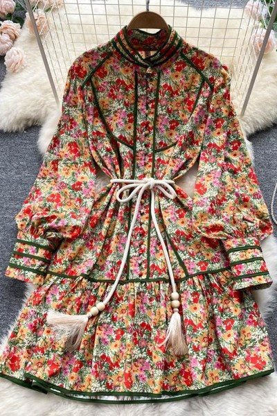 Värviline naiste kleit nööpide ja pikkade varrukatega