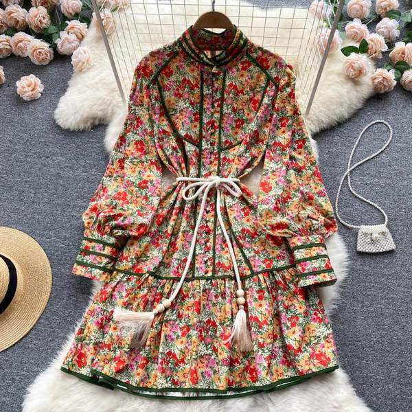 Värviline naiste kleit nööpide ja pikkade varrukatega