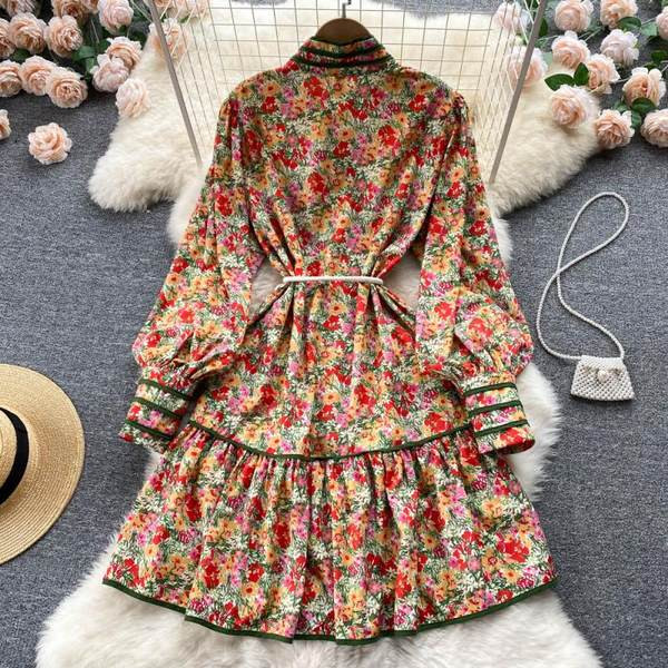 Värviline naiste kleit nööpide ja pikkade varrukatega