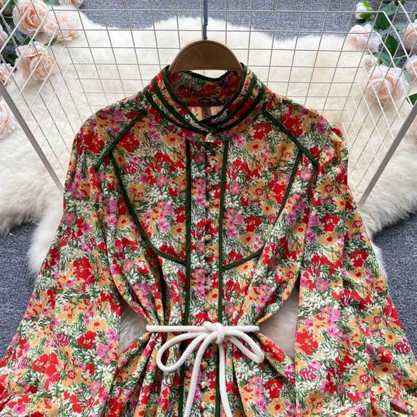 Värviline naiste kleit nööpide ja pikkade varrukatega