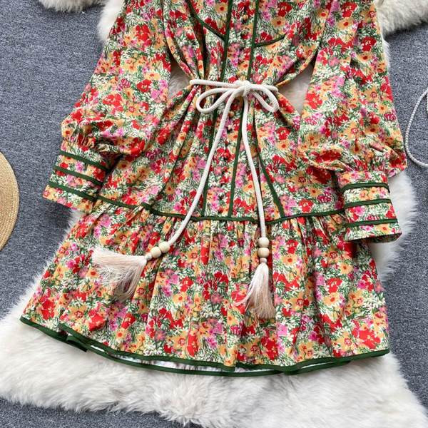 Värviline naiste kleit nööpide ja pikkade varrukatega