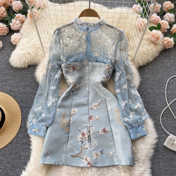 Naiste elegantne pitsi ja tikandiga kleit