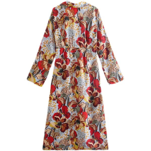 Värviline naiste pikk nööpidega kleit