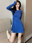 Pikkade varrukatega naiste kleit