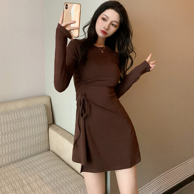 Pikkade varrukatega naiste kleit