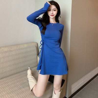 Pikkade varrukatega naiste kleit