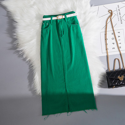 Naiste pikk seelik kõrge vöö ja vööga