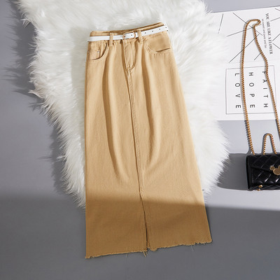 Naiste pikk seelik kõrge vöö ja vööga