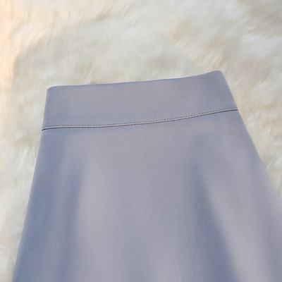 Pikk kõrge vöökohaga kevadseelik