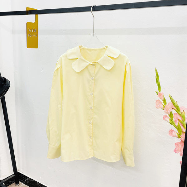 Običan model ženske košulje na gumbe