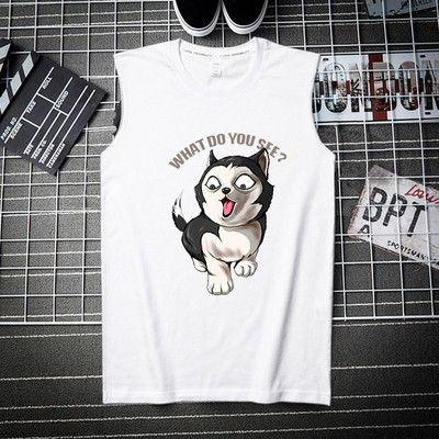 Erinevate trükistega laiade rihmadega puuvillane paak