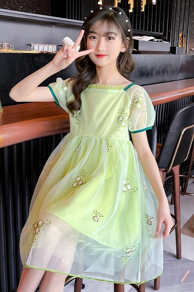 Lühikeste varrukate ja tikandiga lastekleit