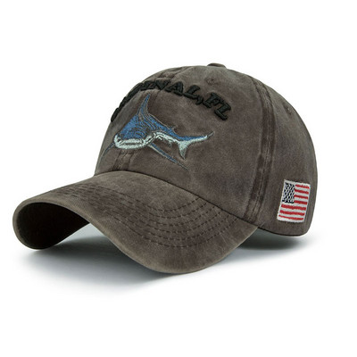 Ανδρικό καπέλο μπέιζμπολ με χρωματιστό κέντημα