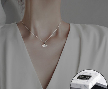 Õrn naiste kett ripatsiga hõbedast värvi