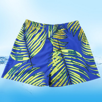 Meeste ujumispüksid – erinevat värvi