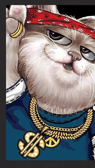 Férfi úszónadrág színes nyomattal