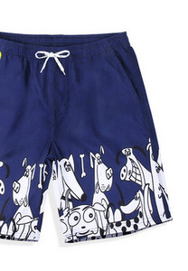 Meeste kiirelt kuivav trükiga ujumistrikoo