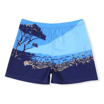 Meeste värvilised ujumisriided - mitut värvi