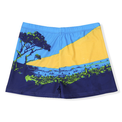 Meeste värvilised ujumisriided - mitut värvi