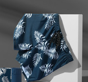 Meeste lipsudega ujumistrikoo - mitut värvi