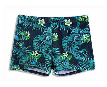 Meeste lipsudega ujumistrikoo - mitut värvi