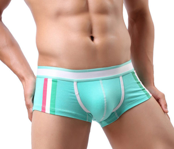 Férfi boxer elasztikus derékkal - többféle színben