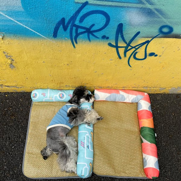 Лятна постелка за кучета  с  възглавничка