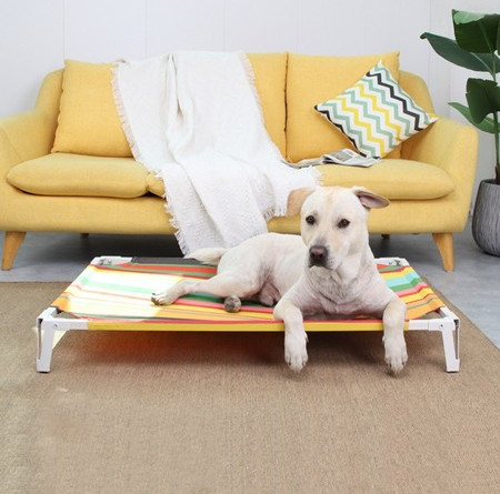 Šezlongas šunims, atsparus drėgmei