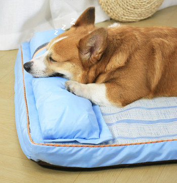 Καλοκαιρινό  χαλάκι  σκύλου με μαξιλάρι