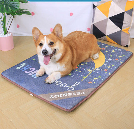 Tekstilinė šunų patalynė