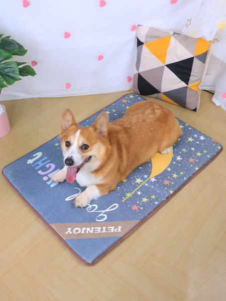 Tekstilinė šunų patalynė