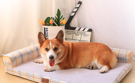 Žieminė pliušinė šunų lova